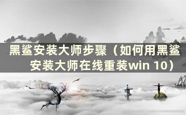 黑鲨安装大师步骤（如何用黑鲨安装大师在线重装win 10）